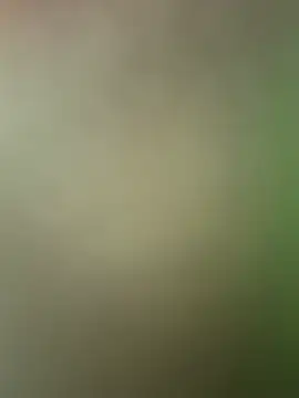 SassynNatty online show from 21, 7, 2026