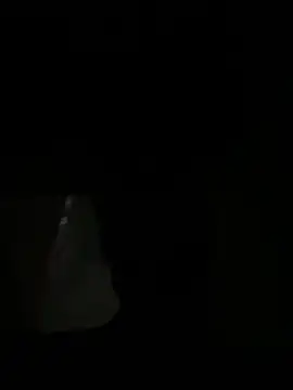 Dildogang online show from 7, 3, 2026