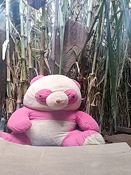 leona118 online show from 11, 2, 2026