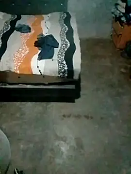 Guanatos13 online show from 15, 4, 2026