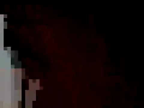 Guanatos13 online show from 17, 4, 2026