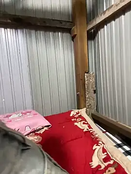 Xo xo237 online show from 1, 3, 2026