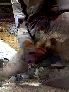 ifuckforreal online show from 6, 2, 2026