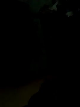 Notty 67 online show from 5, 3, 2026