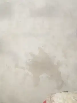 Savi-cute online show from 21, 2, 2026