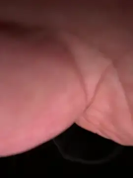 ForagingZealand online show from 13, 1, 2026