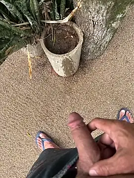 Snapshot of dogfrota chatting on 11, 1, 2026 dogfrota online show from 11, 1, 2026