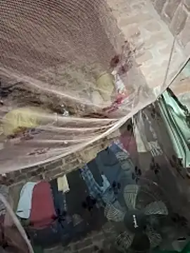 Shivanisingh4 online show from 25, 3, 2026