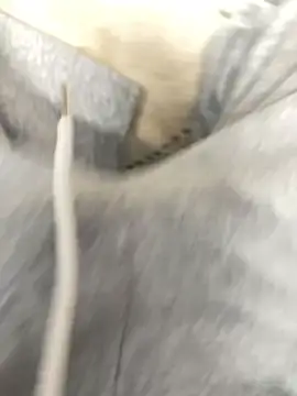 Bebun online show from 17, 1, 2026