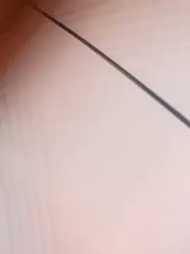 me-leela online show from 6, 3, 2026