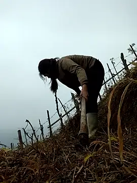 miumiu sexy2x online show from 1, 4, 2026