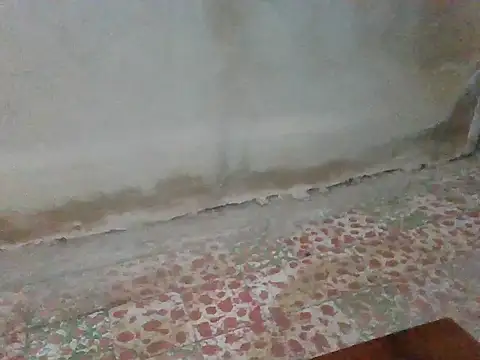 cuerposexy1 online show from 11, 3, 2026