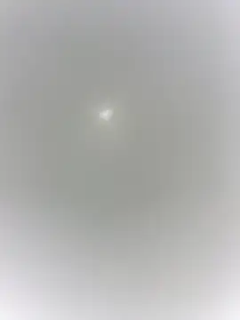 Snapshot of sharck12_35 chatting on 18, 1, 2026 sharck12 35 online show from 18, 1, 2026