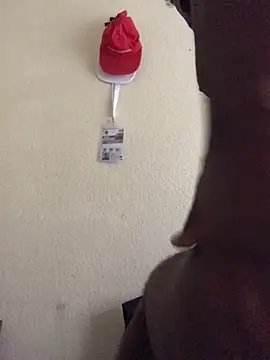 Sirbemine online show from 24, 4, 2026