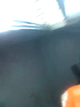 Snapshot of knightqueen12 chatting on 22, 2, 2026 knightqueen12 online show from 22, 2, 2026