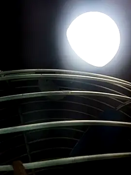 Snapshot of cutee_Baby_angel chatting on 20, 2, 2026 cutee Baby angel online show from 20, 2, 2026