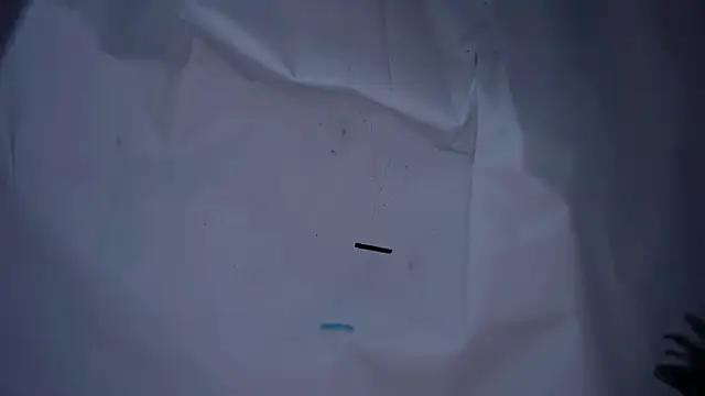 lx667788 online show from 16, 1, 2026