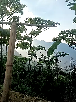 cutebobi online show from 30, 3, 2026