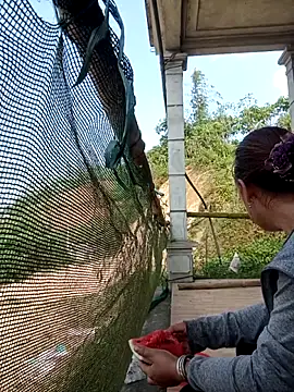 cutebobi online show from 9, 4, 2026