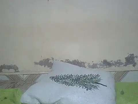 Snapshot of Sexyass100 chatting on 15, 7, 2026 Sexyass100 online show from 15, 7, 2026