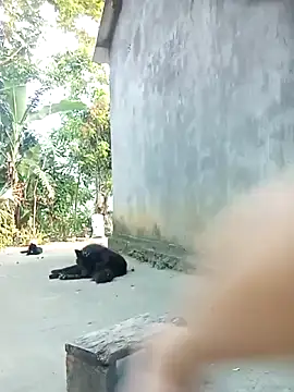 Nuna 689 online show from 31, 5, 2026