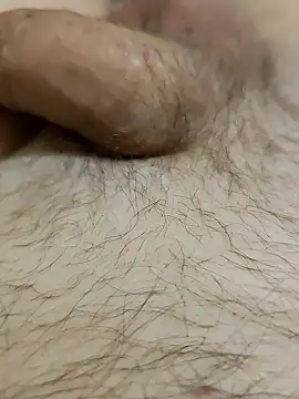 Snapshot of Halunja chatting on 3, 2, 2026 Halunja online show from 3, 2, 2026