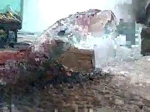 DB boy online show from 10, 4, 2026