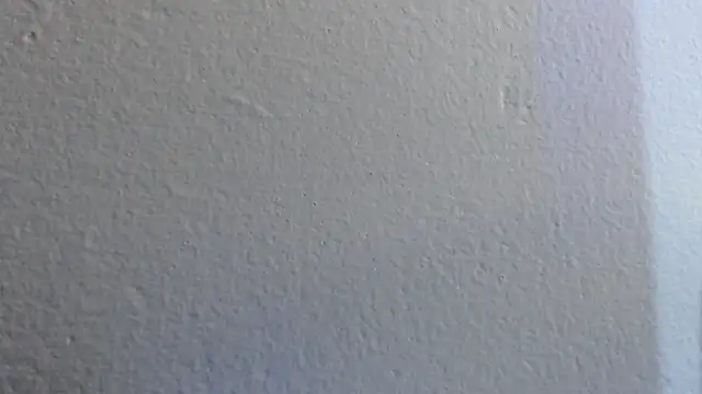 adara cute 69 online show from 6, 3, 2026