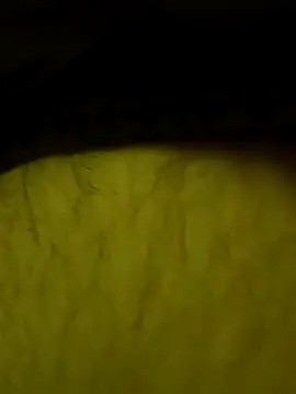 jajajaja322 online show from 2, 2, 2026