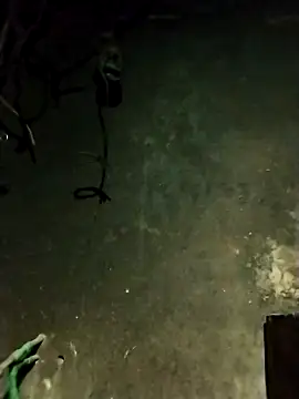 Hoa-tuylip online show from 13, 2, 2026