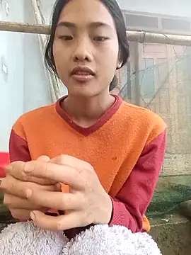 Hoa-tuylip online show from 23, 3, 2026