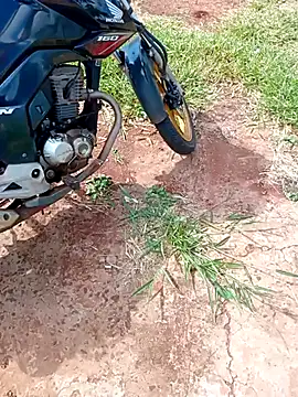 negrim10 online show from 10, 2, 2026