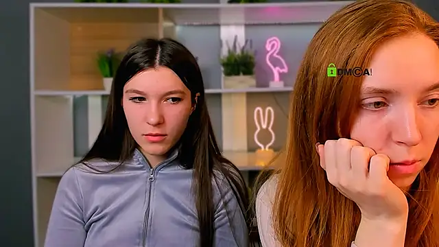 stella flower online show from 3, 3, 2026