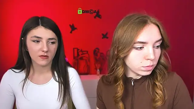 stella flower online show from 26, 3, 2026