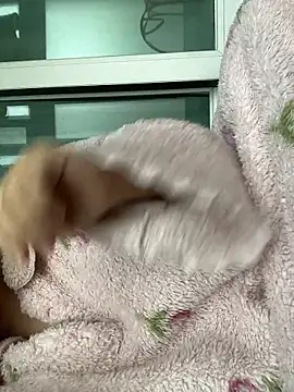 Snapshot of wjddjwjd chatting on 6, 2, 2026 wjddjwjd online show from 6, 2, 2026