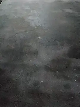 Snapshot of Sgs594802799 chatting on 23, 3, 2026 Sgs594802799 online show from 23, 3, 2026