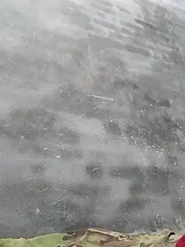 Snapshot of Sgs594802799 chatting on 2, 4, 2026 Sgs594802799 online show from 2, 4, 2026