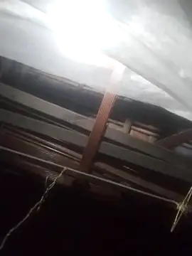 degeneradicto online show from 15, 2, 2026