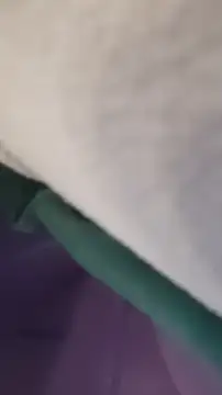 GassyClop online show from 4, 4, 2026