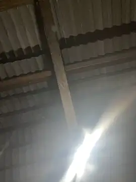 bikhidj online show from 21, 4, 2026