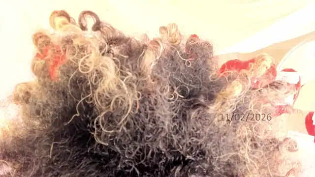 Brit weston online show from 11, 2, 2026