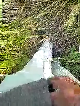 Cute Boy 4 online show from 5, 4, 2026