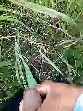 Cute Boy 4 online show from 11, 4, 2026