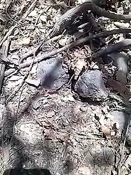 Cute Boy 4 online show from 15, 4, 2026