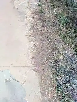 Snapshot of janu_9900 chatting on 18, 2, 2026 janu 9900 online show from 18, 2, 2026