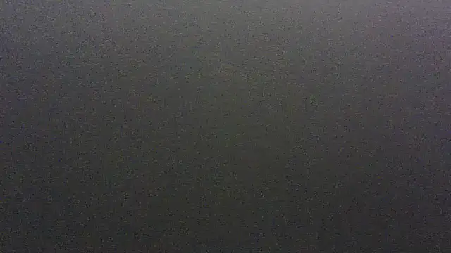 lorraine2036 online show from 20, 2, 2026