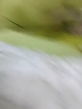 ONixCris online show from 20, 2, 2026