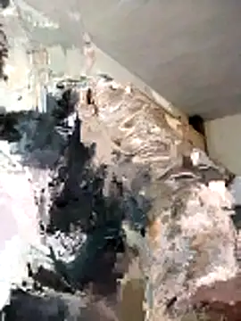 BoxedDitty online show from 21, 2, 2026