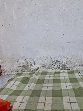 Mey mey2k3 online show from 21, 3, 2026