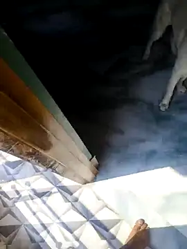 Snapshot of rubitrides11 chatting on 18, 2, 2026 rubitrides11 online show from 18, 2, 2026